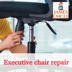 Executive chair repair Mr. Paban Das in Dandirhat